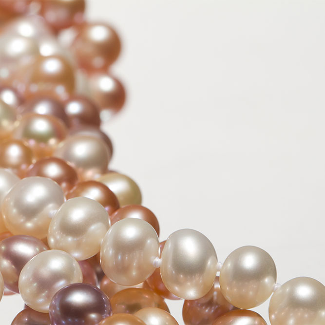 Freshwater Pearls