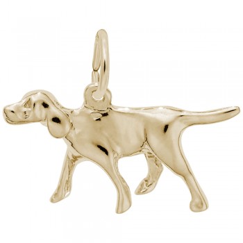https://www.fosterleejewelers.com/upload/product/0295-Gold-Retriever-RC.jpg
