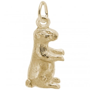 https://www.fosterleejewelers.com/upload/product/2078-Gold-Groundhog-RC.jpg