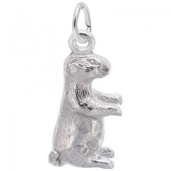 https://www.fosterleejewelers.com/upload/product/2078-Silver-Groundhog-RC.jpg