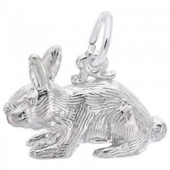 https://www.fosterleejewelers.com/upload/product/2264-Silver-Rabbit-RC.jpg