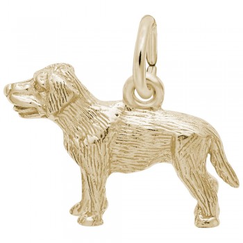 https://www.fosterleejewelers.com/upload/product/2404-Gold-Labrador-RC.jpg