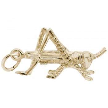 https://www.fosterleejewelers.com/upload/product/3202-Gold-Cricket-RC.jpg