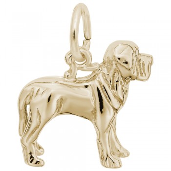 https://www.fosterleejewelers.com/upload/product/6591-Gold-Mastiff-RC.jpg