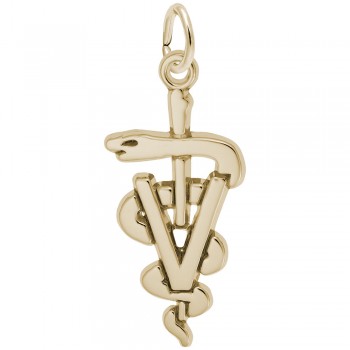 https://www.fosterleejewelers.com/upload/product/7934-Gold-Veterinarian-RC.jpg