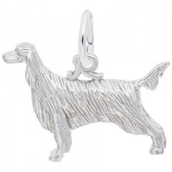 https://www.fosterleejewelers.com/upload/product/8223-Silver-Irish-Setter-RC.jpg