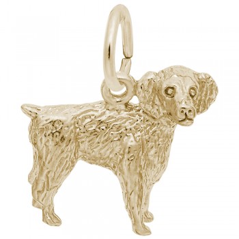 https://www.fosterleejewelers.com/upload/product/8476-Gold-Boykin-Spaniel-RC.jpg
