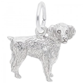 https://www.fosterleejewelers.com/upload/product/8476-Silver-Boykin-Spaniel-RC.jpg
