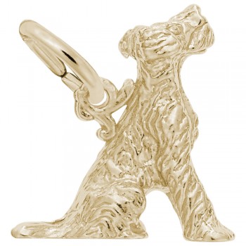 https://www.fosterleejewelers.com/upload/product/0171-Gold-Terrier-RC.jpg