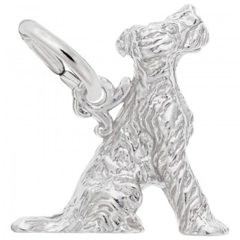 https://www.fosterleejewelers.com/upload/product/0171-Silver-Terrier-RC.jpg