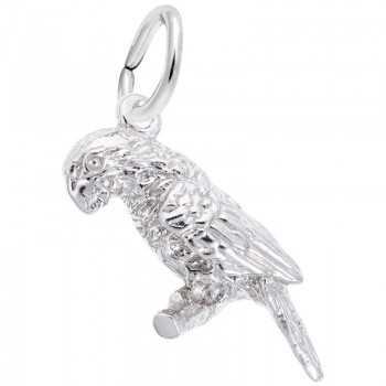 https://www.fosterleejewelers.com/upload/product/0244-Silver-Parrot-RC.jpg