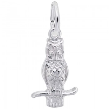 https://www.fosterleejewelers.com/upload/product/0360-Silver-Owl-RC.jpg