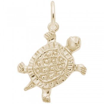 https://www.fosterleejewelers.com/upload/product/0530-Gold-Turtle-RC.jpg