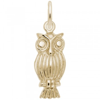 https://www.fosterleejewelers.com/upload/product/0890-Gold-Owl-RC.jpg
