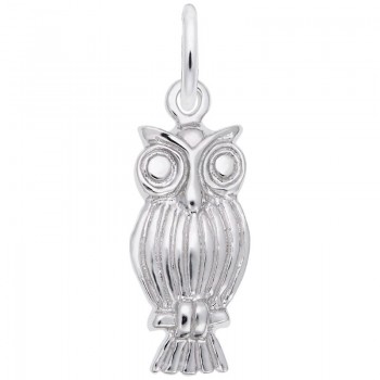 https://www.fosterleejewelers.com/upload/product/0890-Silver-Owl-RC.jpg