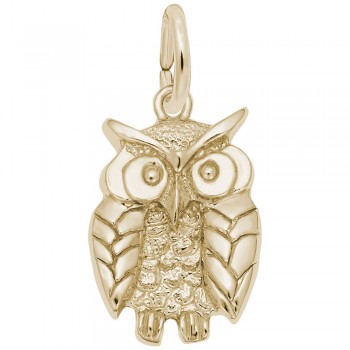 https://www.fosterleejewelers.com/upload/product/1673-Gold-Wise-Owl-RC.jpg
