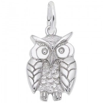 https://www.fosterleejewelers.com/upload/product/1673-Silver-Wise-Owl-RC.jpg