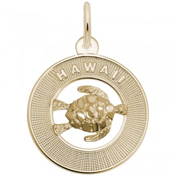 https://www.fosterleejewelers.com/upload/product/1853-Gold-Hawaii-Turtle-RC.jpg
