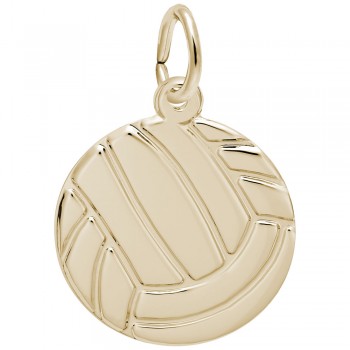 https://www.fosterleejewelers.com/upload/product/2243-Gold-Volleyball-RC.jpg