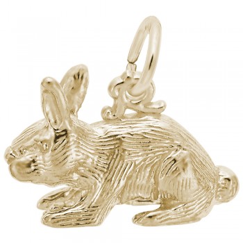 https://www.fosterleejewelers.com/upload/product/2264-Gold-Rabbit-RC.jpg
