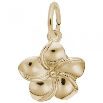 https://www.fosterleejewelers.com/upload/product/2304-Gold-Plumeria-Flower-RC.jpg