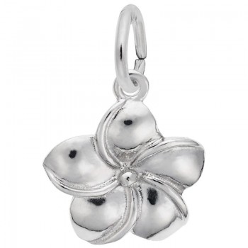 https://www.fosterleejewelers.com/upload/product/2304-Silver-Plumeria-Flower-RC.jpg
