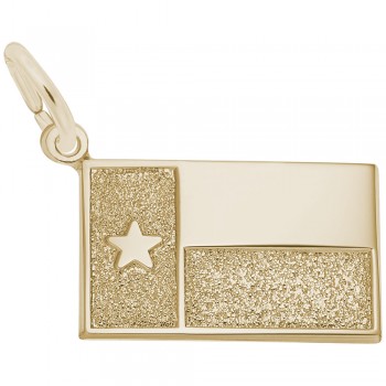https://www.fosterleejewelers.com/upload/product/2323-Gold-Texas-Flag-RC.jpg
