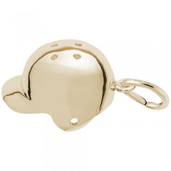 https://www.fosterleejewelers.com/upload/product/2494-Gold-Baseball-Helmet-RC.jpg