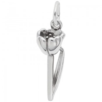 https://www.fosterleejewelers.com/upload/product/2948-Silver-Crocus-RC.jpg