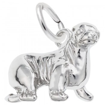 https://www.fosterleejewelers.com/upload/product/3569-Silver-Sea-Lion-RC.jpg