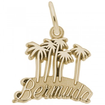 https://www.fosterleejewelers.com/upload/product/3574-Gold-Bermuda-Map-W-Palms-RC.jpg