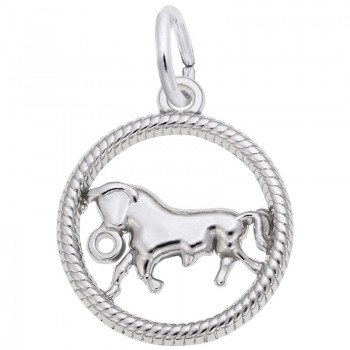 https://www.fosterleejewelers.com/upload/product/4774-Silver-Taurus-RC.jpg