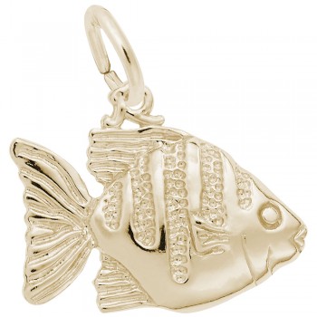 https://www.fosterleejewelers.com/upload/product/5311-Gold-Angelfish-RC.jpg