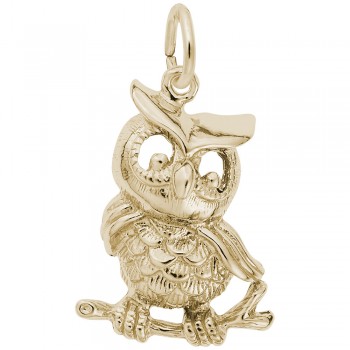 https://www.fosterleejewelers.com/upload/product/5335-Gold-Owl-RC.jpg