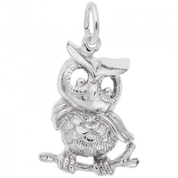 https://www.fosterleejewelers.com/upload/product/5335-Silver-Owl-RC.jpg