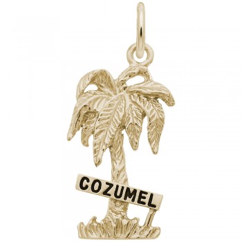 https://www.fosterleejewelers.com/upload/product/6155-Gold-Cozumel-Palm-W-Sign-Paint-RC.jpg