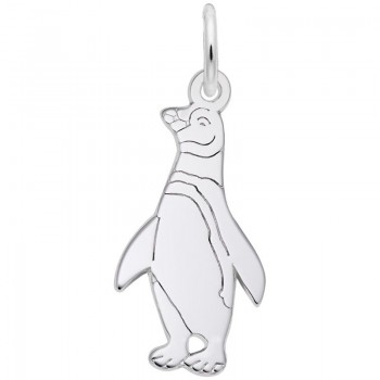 https://www.fosterleejewelers.com/upload/product/6203-Silver-Penguin-RC.jpg