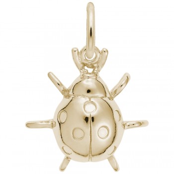 https://www.fosterleejewelers.com/upload/product/6384-Gold-Lady-Bug-RC.jpg