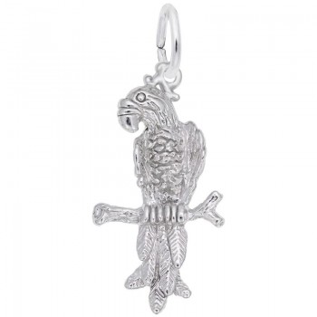 https://www.fosterleejewelers.com/upload/product/6487-Silver-Parrot-RC.jpg