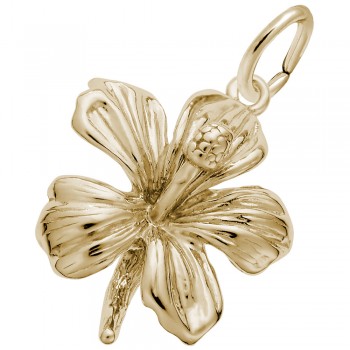 https://www.fosterleejewelers.com/upload/product/6528-Gold-Hibiscus-RC.jpg