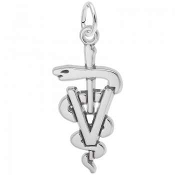 https://www.fosterleejewelers.com/upload/product/7934-Silver-Veterinarian-RC.jpg