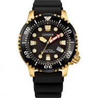 Citizen Dive 4 Men