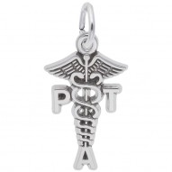 PT ASSISTANT