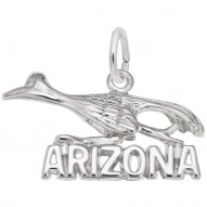 ARIZONA ROAD RUNNER