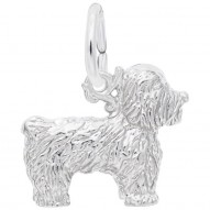 BICHON FRISE