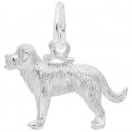 ST BERNARD